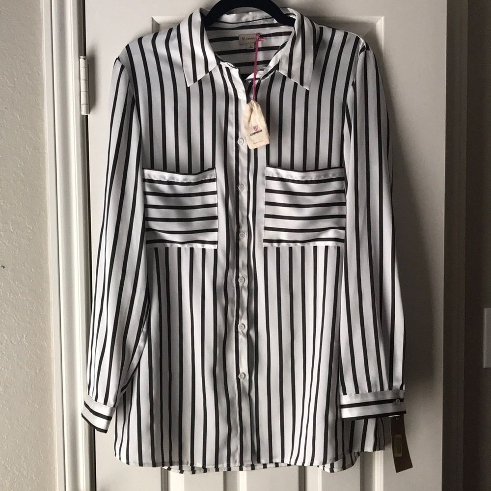 NWT Cremieux striped button blouse medium